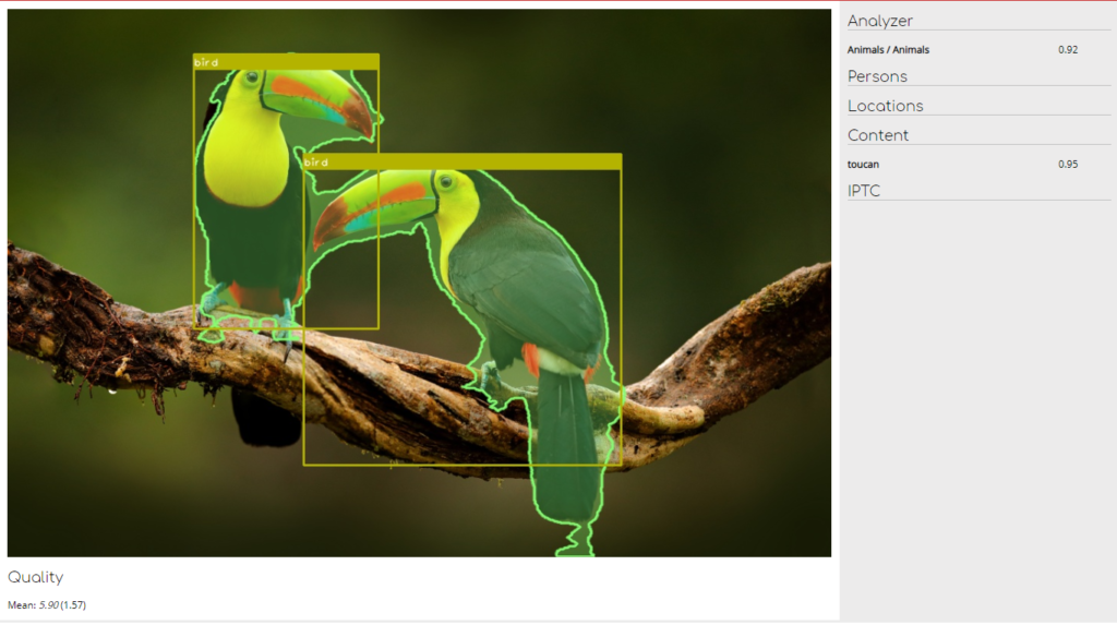 ai animal detection